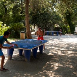 Tables de tennis