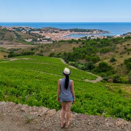 Camping Pyrénées Orientales