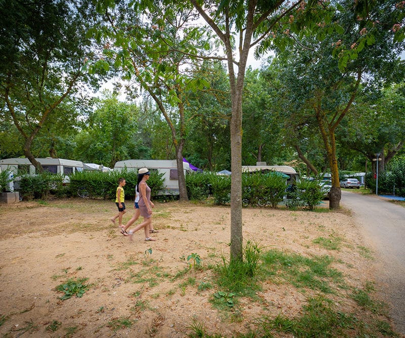 Emplacement camping dans les Pyrénées Orientales